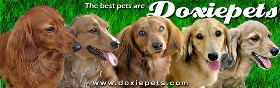 doxiepets.jpg